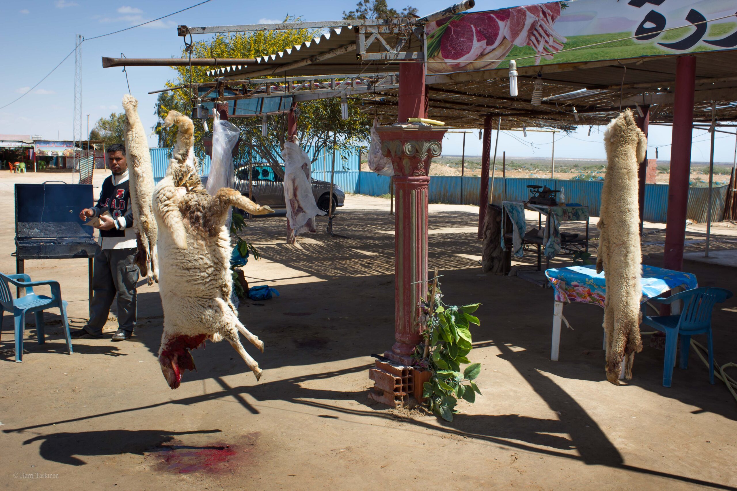 Lammasta tunisialaisittain