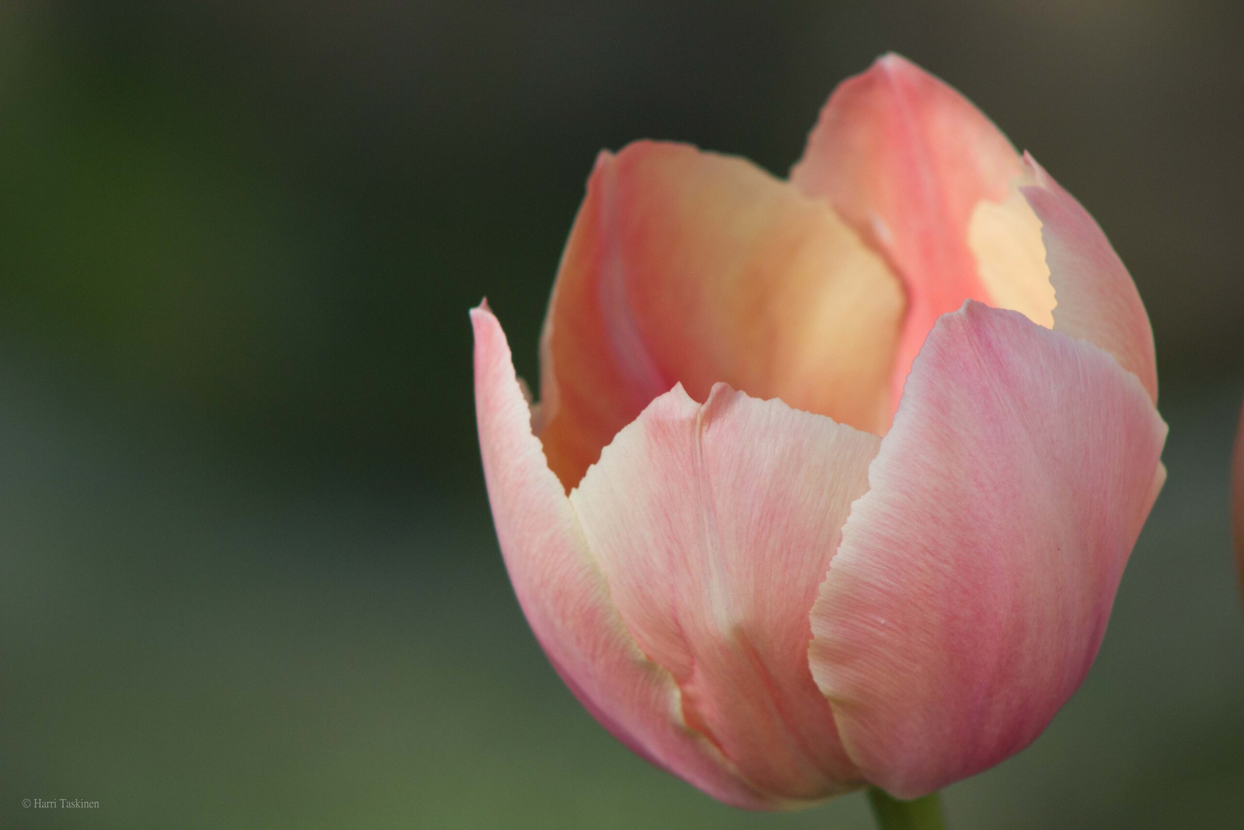 Hauskaa vappua 2015!