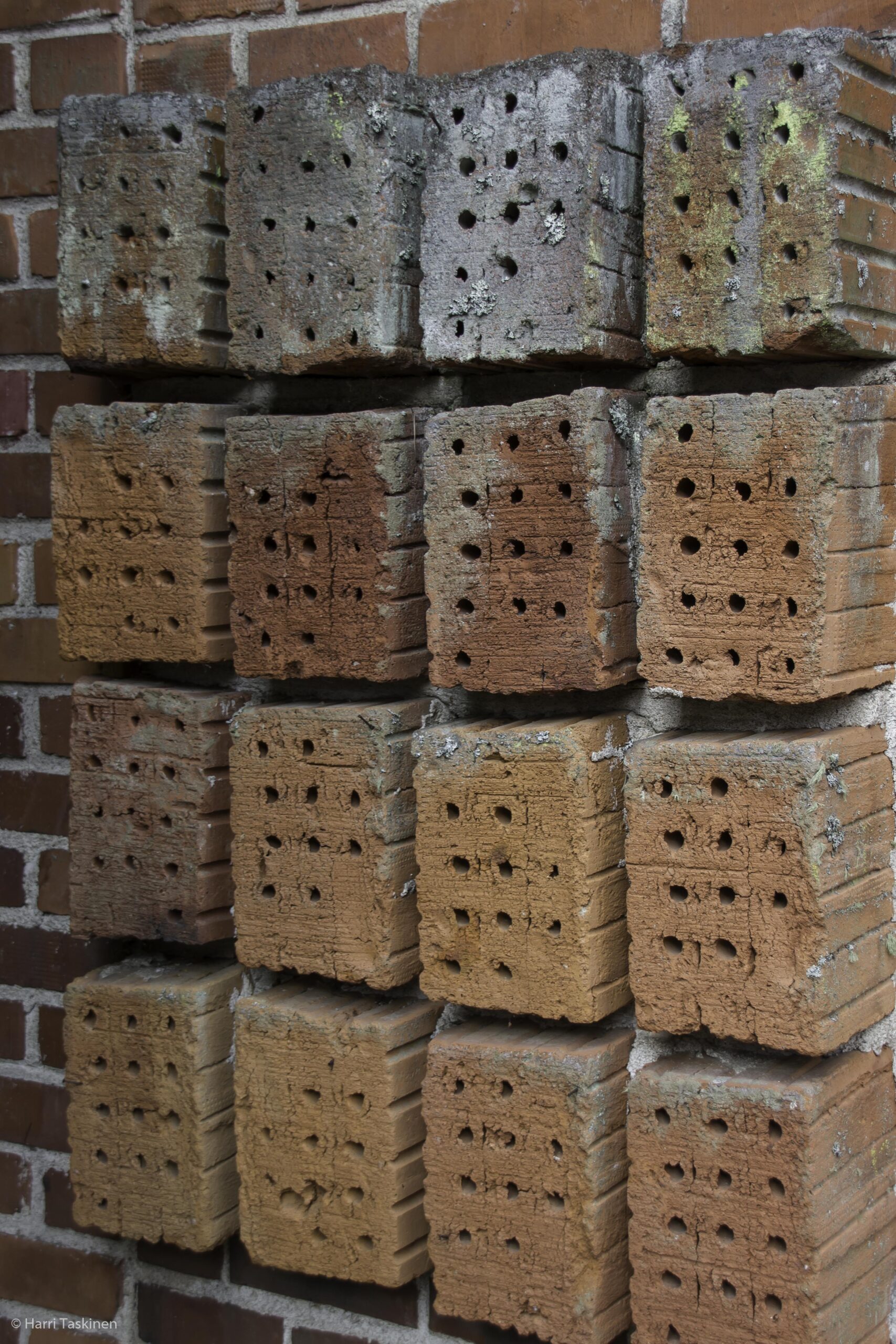 A lucky chinese architecture student