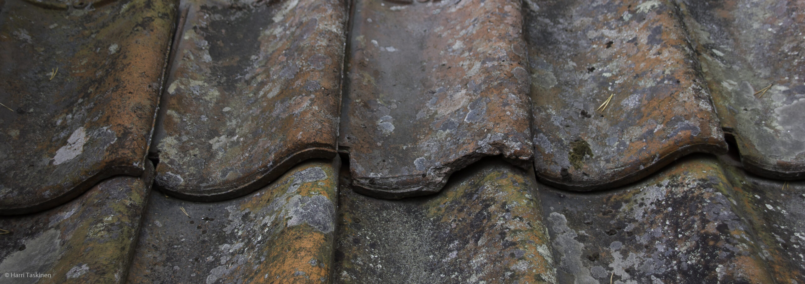 Muuratsalo Experimental House