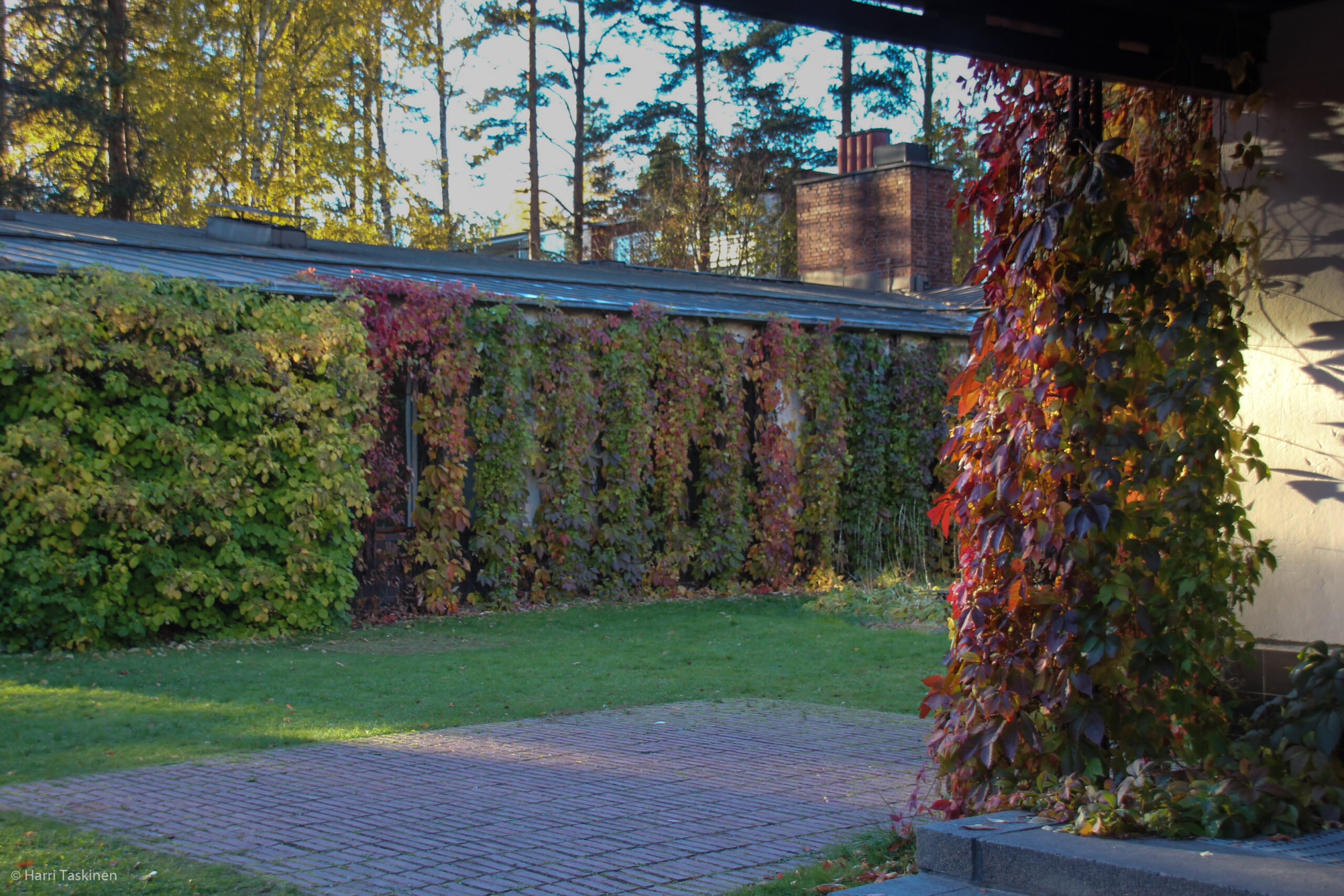 ”Vilskettä” kunnantalolla!