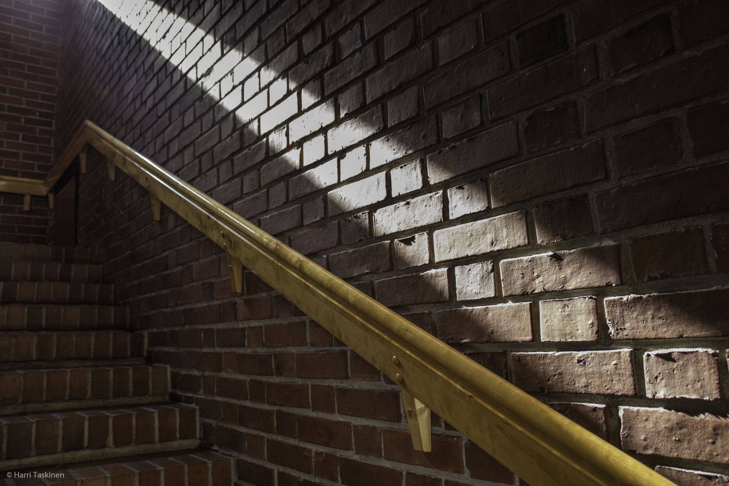 Easter Guests from Mexico