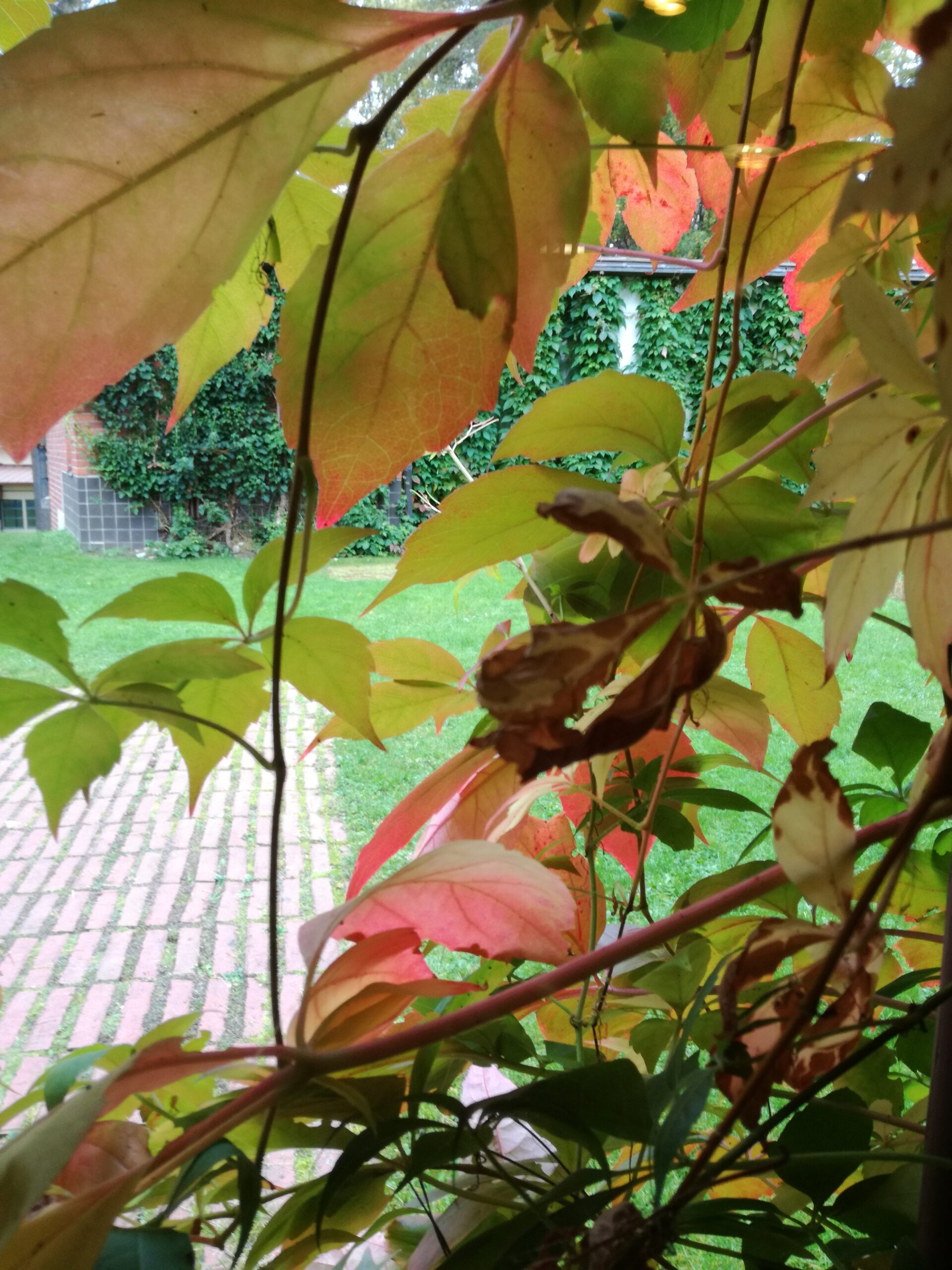 Maybe that’s just the Effect Aalto has on People