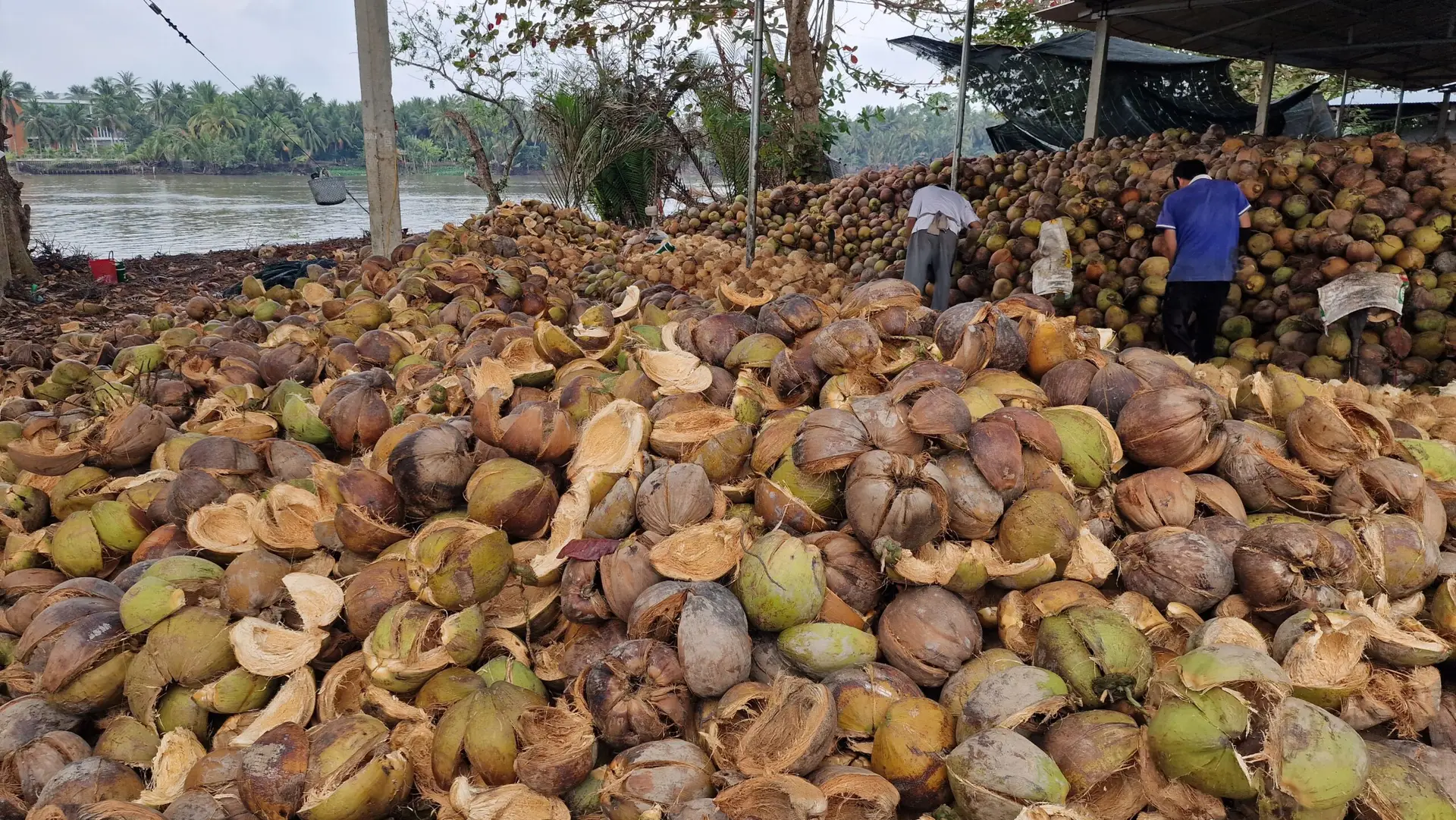 Ten days in Vietnam, Ben Tre