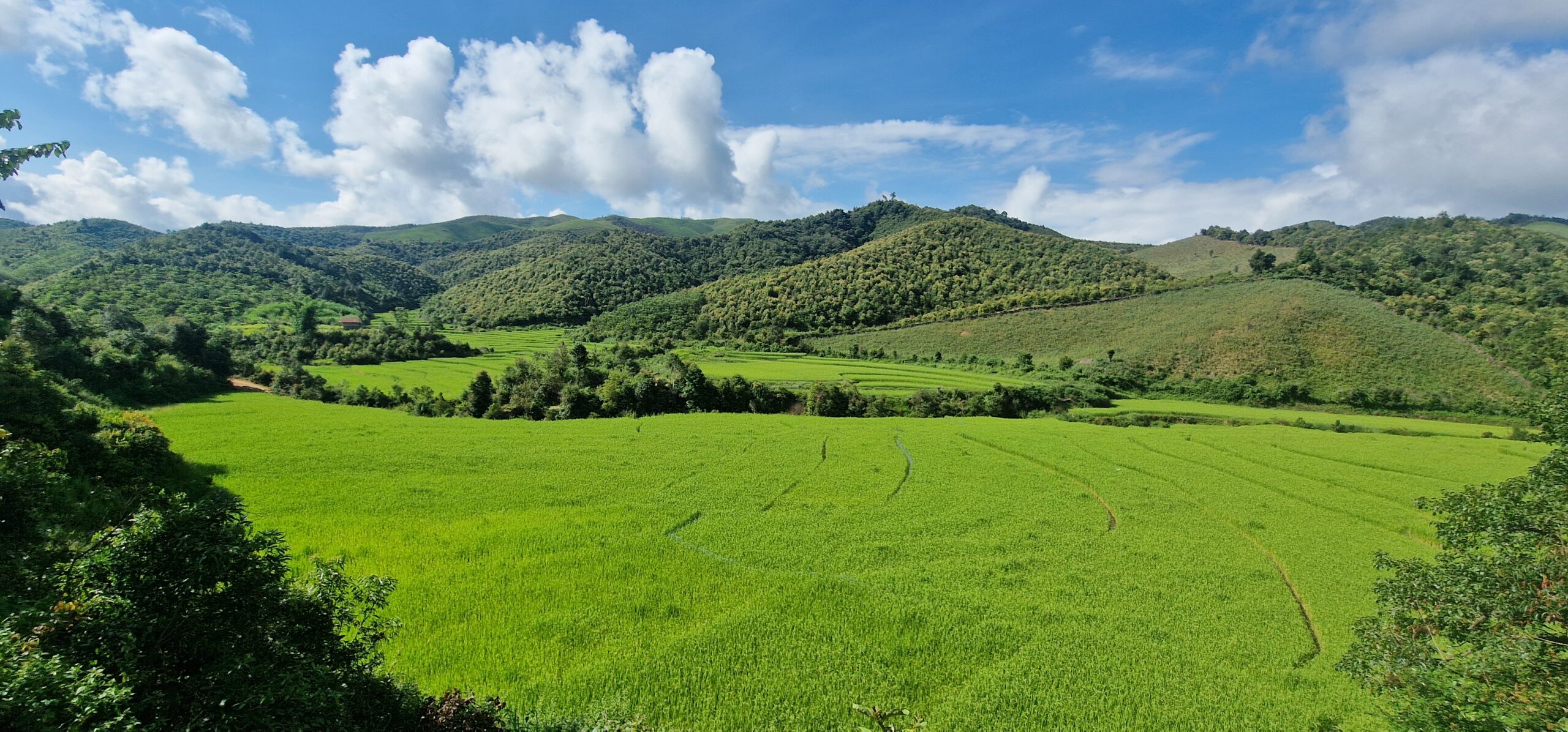 In the Mountains of Laos